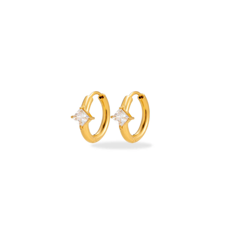 Diamond Mini Ruit Hoops